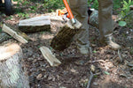 LogOX 3-in-1 Forestry MultiTool*