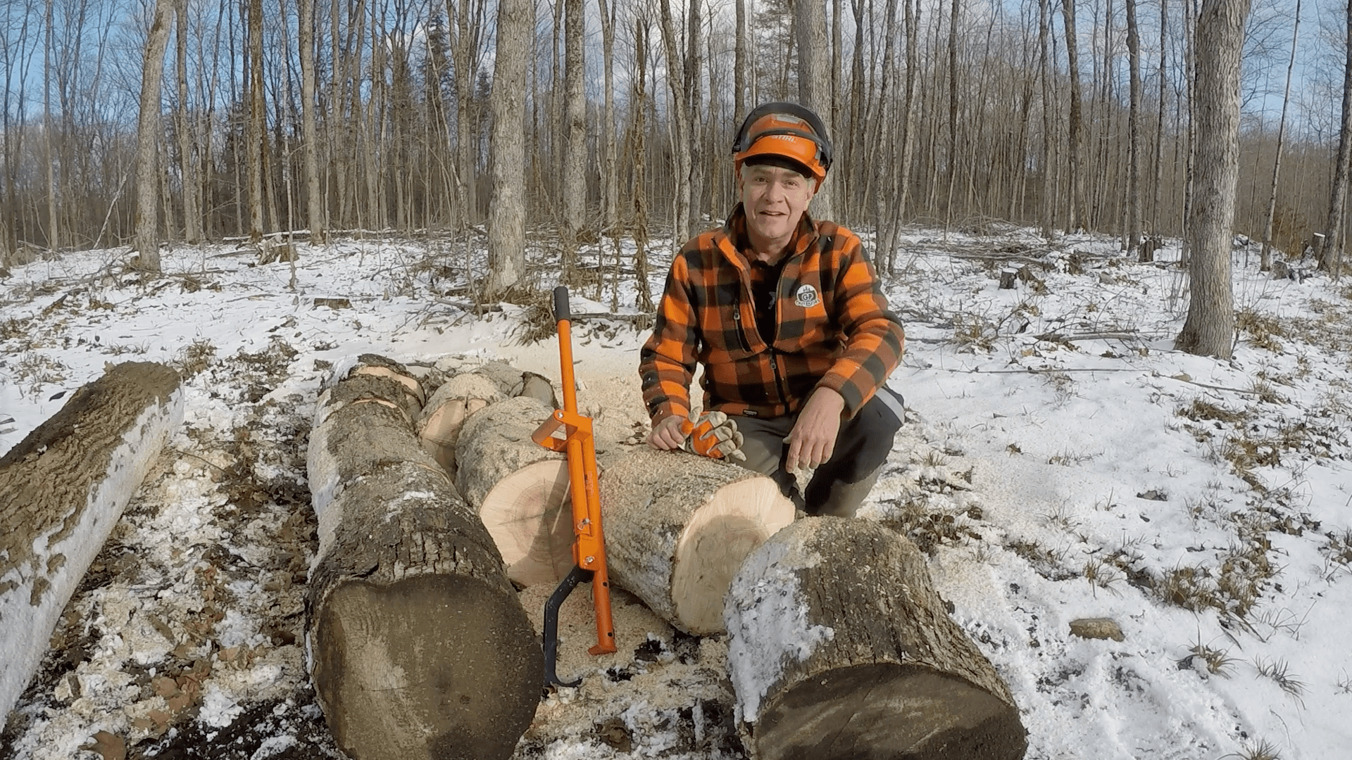 The Beauty of Forestry and Firewood with Gord from GP Outdoors.