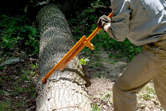 Worker applies downward pressure on LogOX cant hook lever to roll a heavy log round positioned on forest floor for cutting
