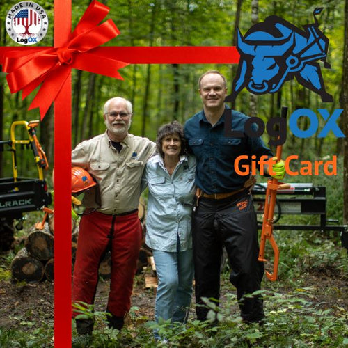 $300 Team LogOX Gift Card Gift Cards LogOX 
